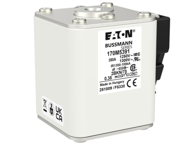 170M5391 特殊用途ヒューズ サムネイル
