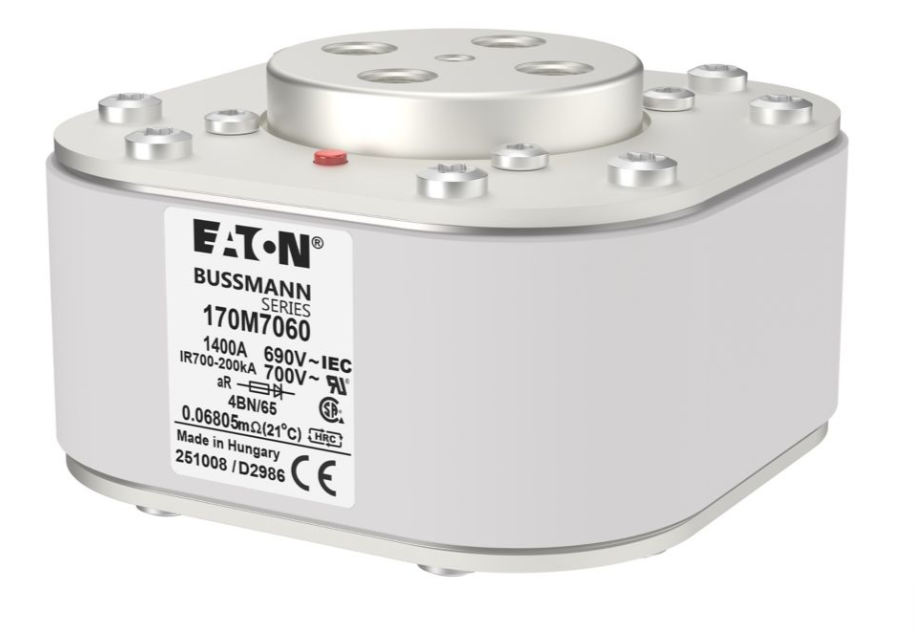 170M7060 Специальные предохранители миниатюра