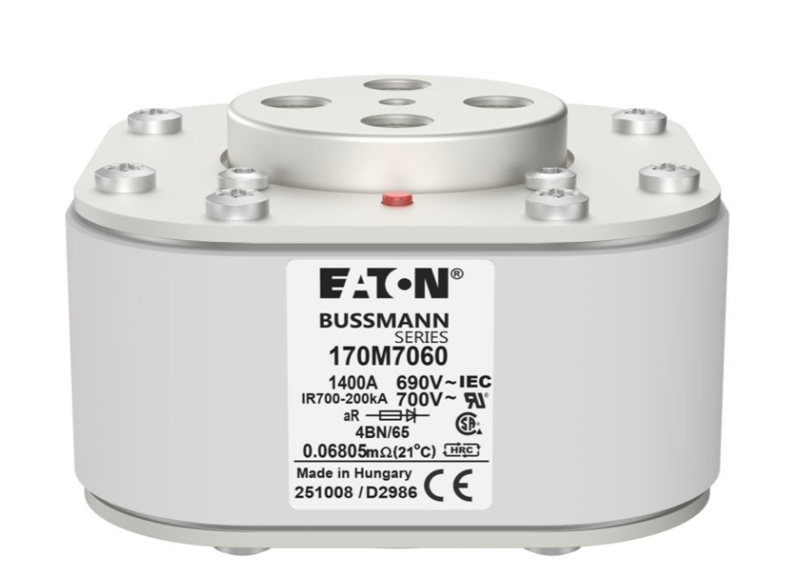 170M7060 Специальные предохранители миниатюра