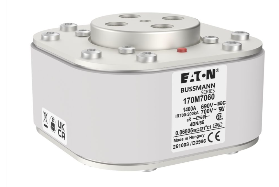 170M7060 Специальные предохранители миниатюра