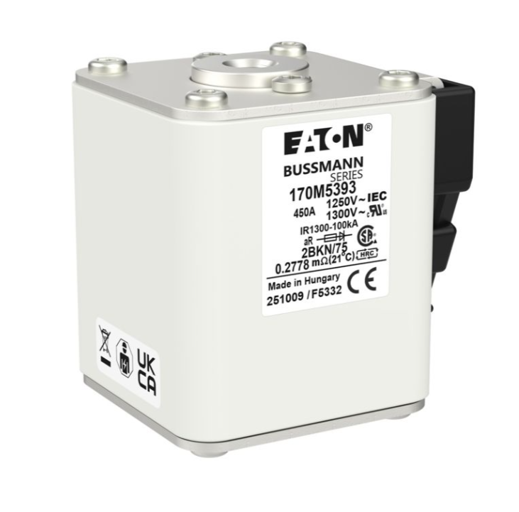 170M5393 特殊用途ヒューズ サムネイル