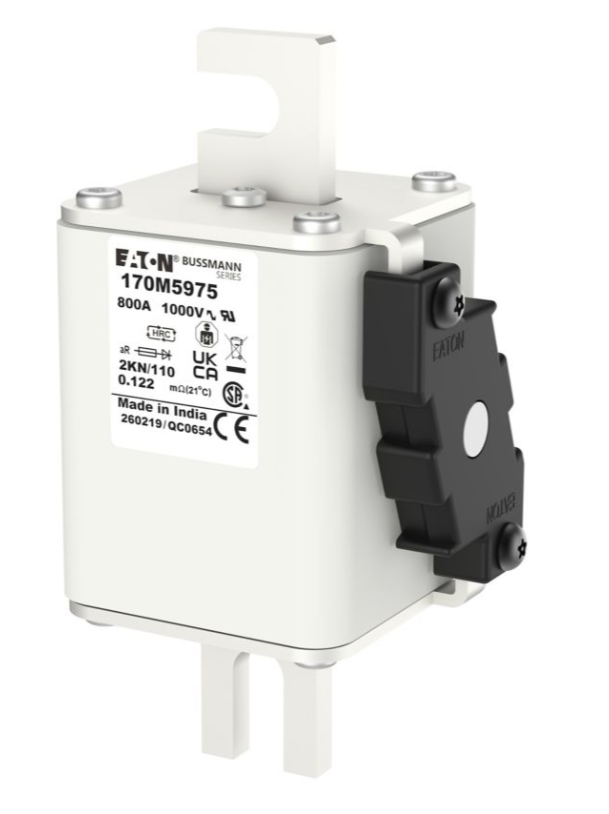 170M5975 Specialty Fuses thumbnail