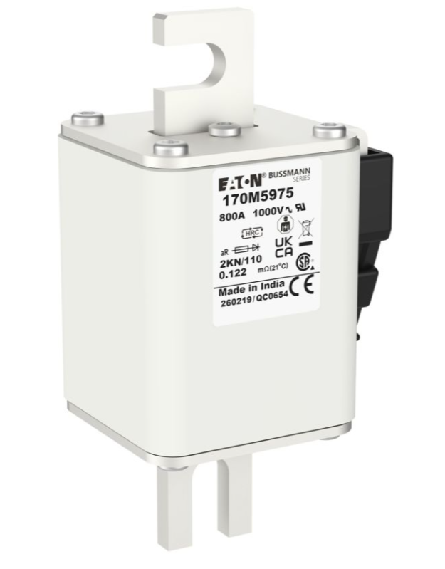 170M5975 Specialty Fuses thumbnail