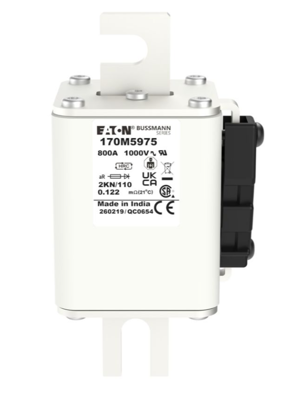 170M5975 Specialty Fuses thumbnail
