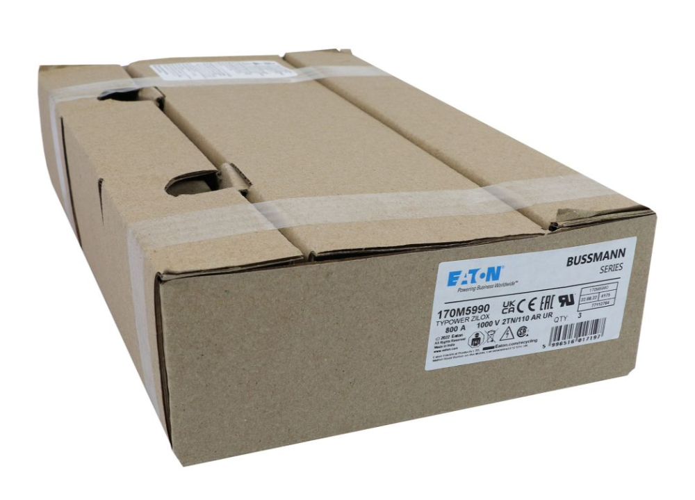 170M5990 特殊用途ヒューズ 画像