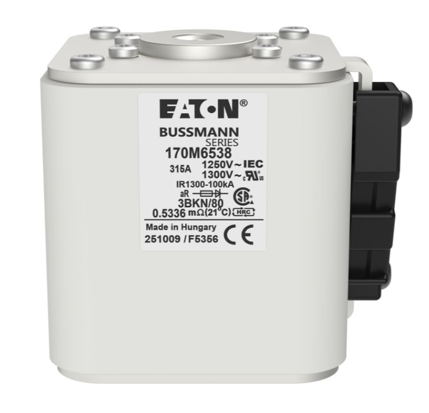 170M6538 Specialty Fuses thumbnail