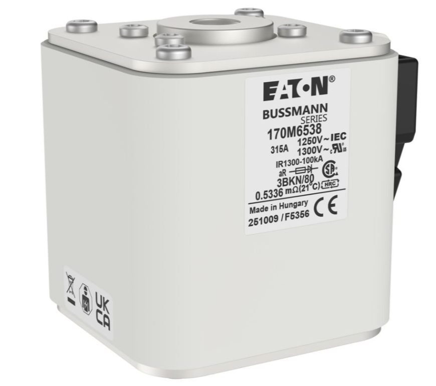 170M6538 Specialty Fuses thumbnail