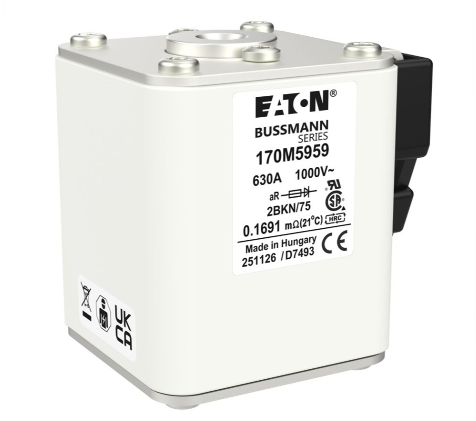 170M5959 特殊用途ヒューズ サムネイル