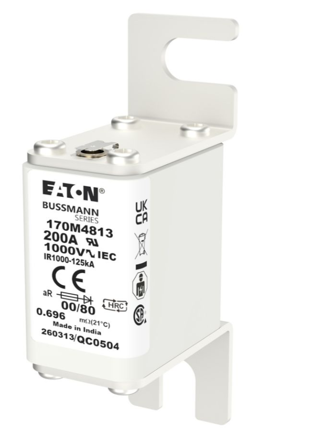170M4813 특수 퓨즈 썸네일