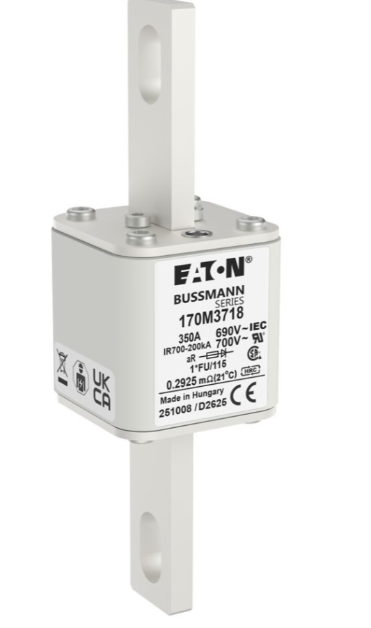 170M3718 Специальные предохранители миниатюра