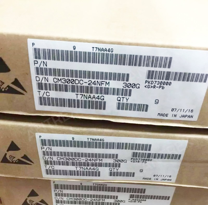 CM300DC-24NFM IGBT Modules image